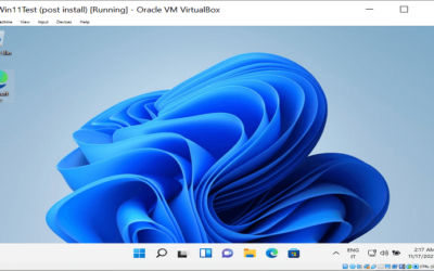 Installare Windows 11 su VirtualBox